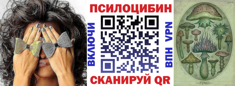 купить Бакал Галлюциногенные грибы Psilocybine cubensis