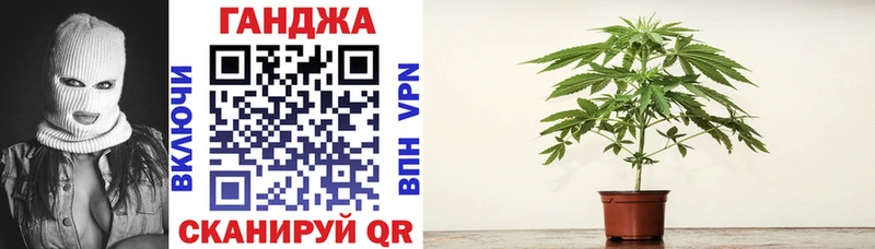 магазин продажи Бакал Конопля LSD WEED